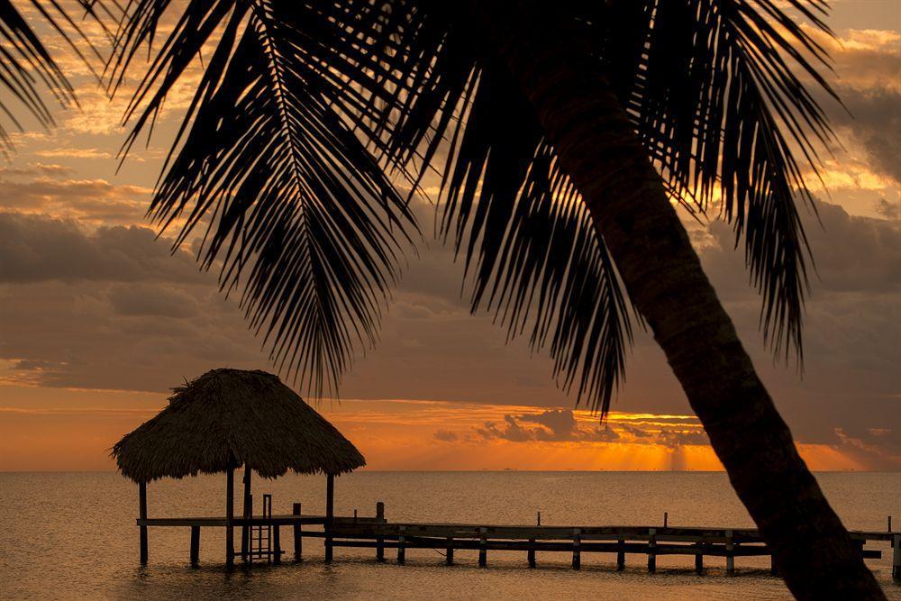 Almond Beach Resort At Jaguar Reef Hopkins Exterior foto