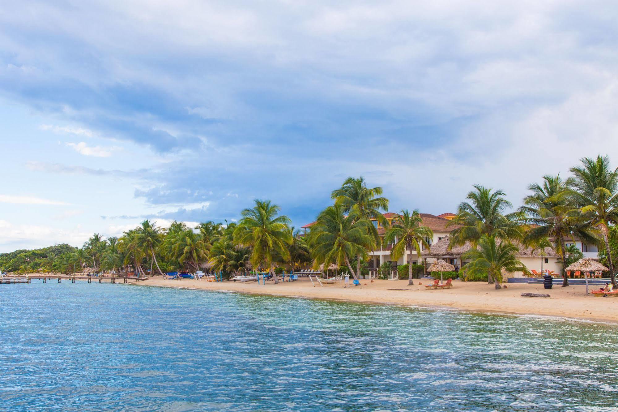 Almond Beach Resort At Jaguar Reef Hopkins Exterior foto